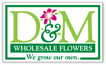 D&M Wholesale Flowers